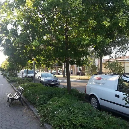 Ilga Collecchio