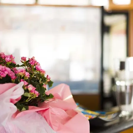 Hotel Ilga Collecchio